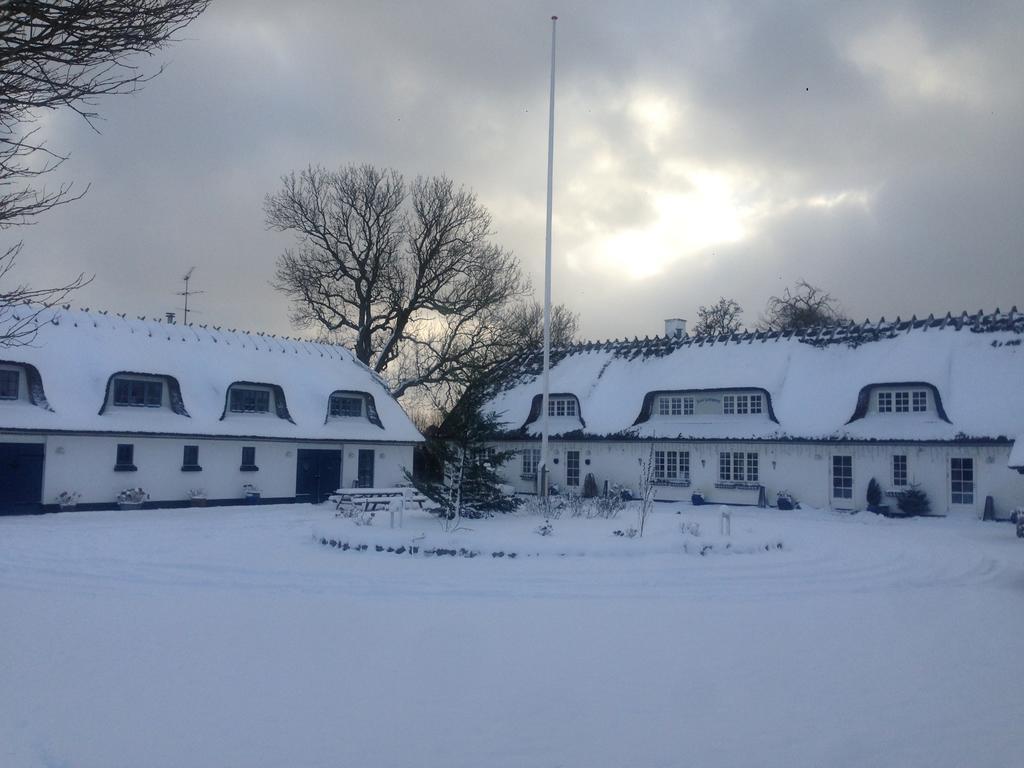 Rane Ladegaard Pensionat Ebeltoft Exteriör bild
